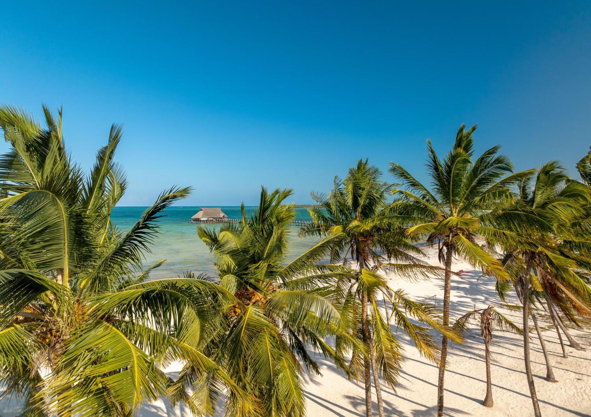 Karibu Beach Resort Pongwe Kültér fotó